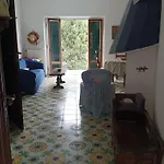 Galia's House *